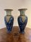 Grands Vases Anciens de Royal Doulton, 1900s, Set de 2 1