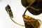 Vintage Italian Leaf Floor Lamp in Hammered Brass by Tommaso Barbi, 1970s, Image 10