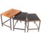 Danish Mid-Century Nesting Tables in Rosewood by Kurt Østervig for Jason Møbler 1