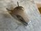 Aluminium Bull Head Metzgerei Schild 3