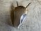 Aluminium Bull Head Metzgerei Schild 5