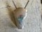 Aluminium Bull Head Metzgerei Schild 1