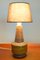 Table Lamp by Aldo Londi for Bitossi, 1960s 2