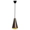 Hanging Lamp attributed to Max Ingrand for Fontana Arte, 1960s 1