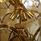 Amber Glass Chandelier with Gilded Frame by Vistosi, Italy 3