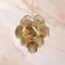 Amber Glass Chandelier with Gilded Frame by Vistosi, Italy 2