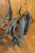 Cast Iron Sconces based on Pont Alexandre III Models, 1960s, Set of 2, Image 9