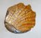 Large Italian Ceramic Clam Shell Bowl from San Marco, 1970s, Image 7