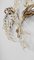 Hollywood Regency Wall Light Sconce in White & Gilt Metal Leaf by Hans Kögl, 1970s, Image 7