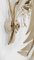 Hollywood Regency Wall Light Sconce in White & Gilt Metal Leaf by Hans Kögl, 1970s, Image 13