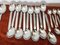 Twelve-Person Cutlery Set by Gio Ponti for Fratelli Calderoni, Italy, 1960s, Set of 54 6