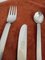Twelve-Person Cutlery Set by Gio Ponti for Fratelli Calderoni, Italy, 1960s, Set of 54 10