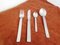 Twelve-Person Cutlery Set by Gio Ponti for Fratelli Calderoni, Italy, 1960s, Set of 54 3
