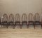 Windsor 365 Sprossenstühle von Lucian Ercolani für Ercol, 6 . Set 1