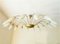 16-Light Chandelier by Rupert Nikoll, Image 1