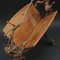 Rustic Magazine Rack in Burl Wood, 1910, Image 9