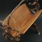 Rustic Magazine Rack in Burl Wood, 1910, Image 10