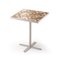 Caldas Square Dinner Table by Mambo 6