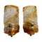 Bicolore Glass Murano Wall Lights attributed to Mazzega, Italy, 1970s, Set of 2, Image 1