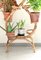 Vintage Bamboo Plant Vase Stand / Holder, Italy, 1960s 7