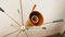 Lampe Suspendue Sputnik avec 12 Lumières de Stilnovo 7