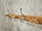French Wall Coat Rack, 1920s, Image 9