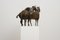 Opulent Horse Bronze by Wolfgang Binding, 2002, Image 5