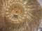 Large Flower Gilt Art Glass Murano Flush Mount by Barovier & Toso, 1930 7