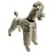 Caniche Keramos Austria antiguo de porcelana, años 30, Imagen 6