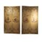 Antique French Chinoiseries Screen, Set of 2 1