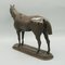 Pierre Lenordez, Racehorse, Bronze, 1800s, Image 6