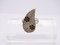 Vintage Blatt Ring aus Sterling Silber und Zirkonen, 19. Jh., Italien 8