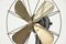 Wt 22 Table Fan by Peter Behrens for Aeg, Germany, 1909 10