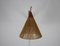 Mid-Century Teak and Rattan Swing Arm Wall Lamp attributed to Temde, 1960s, Image 6