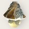 Vintage Snail Tischlampe aus Keramik von Bernard Rooke, England, 1970er 4