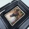 Western Capercaillie, 1890s, Miniature Oil Painting, Framed 3