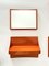 German Orange Plastic Wall Cabinet with 4 Mirrors, Coat Racks & Shelves, 1960s, Set of 14, Image 9