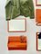 German Orange Plastic Wall Cabinet with 4 Mirrors, Coat Racks & Shelves, 1960s, Set of 14, Image 4