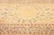 Middle Eastern Hand-Knotted Rug 9