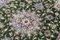 Middle Eastern Hand-Knotted Rug, Image 5