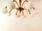 8-Light Brass Chandelier with Glass Spheres, Image 6