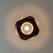 Brown Bug Eye Lamp from Massive, Image 7
