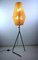 Lampadaire sur Pied par JT Kalmar pour Kalmar, 1950s 9