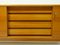 Mid-Century Sideboard / Lowboard, Germany, 1960s, Image 7