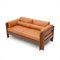 Zelda Two-Seater Sofa by Sergio Asti for Poltronova, 1960s, Image 2