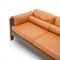 Zelda Two-Seater Sofa by Sergio Asti for Poltronova, 1960s, Image 10