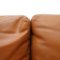 Zelda Two-Seater Sofa by Sergio Asti for Poltronova, 1960s, Image 12