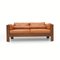 Zelda Two-Seater Sofa by Sergio Asti for Poltronova, 1960s, Image 6