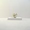 Bubble Tavolo Floor Lamp by Valerio Bottin for Foscarini, 1990s, Image 1