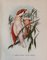 John Gould, Tropical Bird Plates, 1948, Prints, Set of 6, Image 2